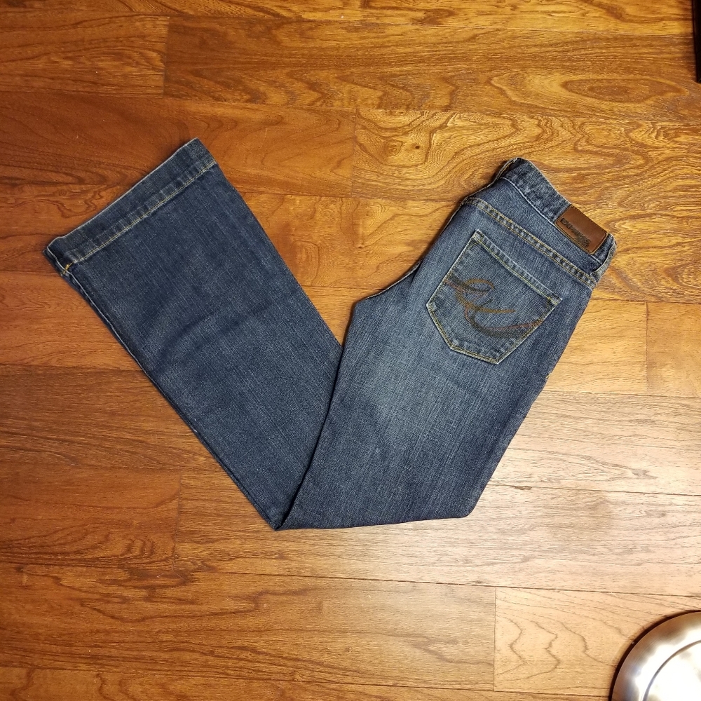 Express Eva Fit & Flare Jeans